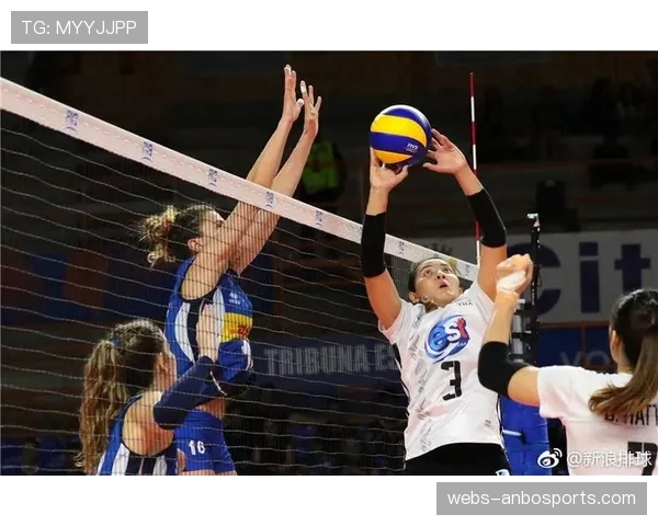 数据解读：当前男子80公斤级顶尖选手的得分区域分布与技战术偏好